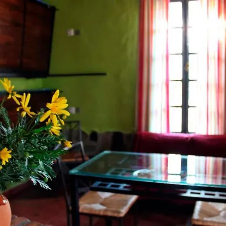 De Buffalos Hostal *