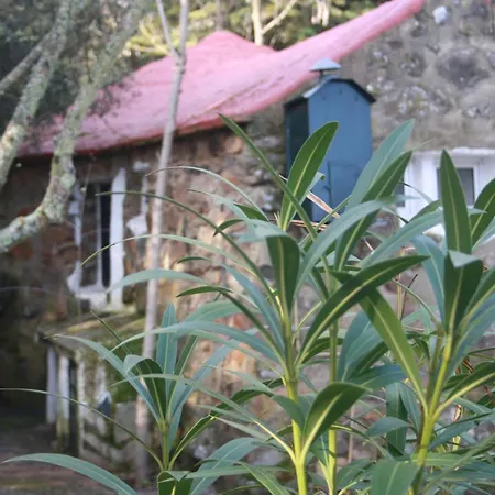 Hostel De Buffalos